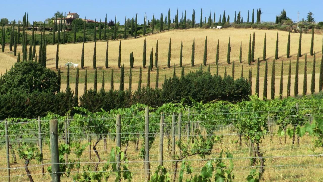 Appartamenti Ava E Tegrino Nell'Antica Dimora Di Fulignano San Gimignano Exterior foto